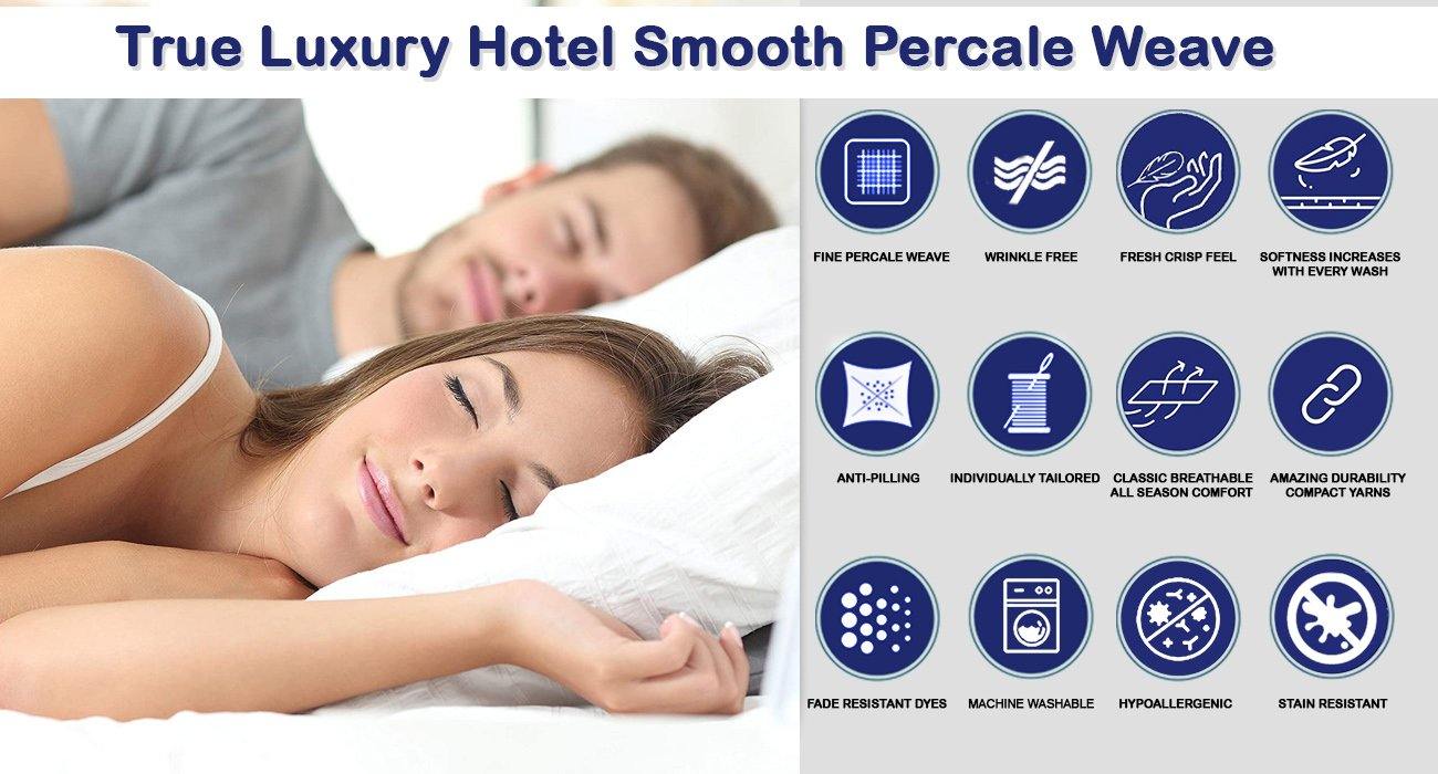 Lavish Touch 100% Cotton 250 TC Sheet Set - Zenvias